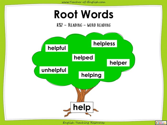 Suffixes prefixes suffix gumroad formation