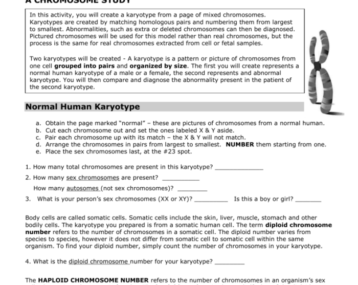 A chromosome study answer key