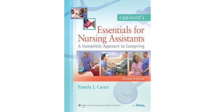 Lippincott textbook for nursing assistants 5th edition pdf free