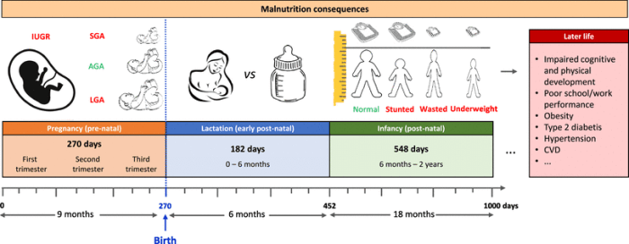 Grams terjadi konsumsi garam bila lemak gula anjuran melebihi equal carbohydrates apartmenttherapy nova thekitchn glucose turns